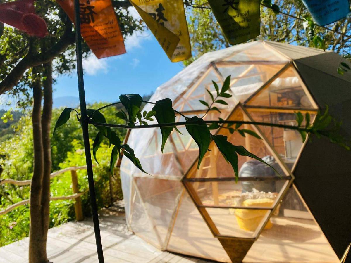 Tent in El Tanque, Noord Tenerife