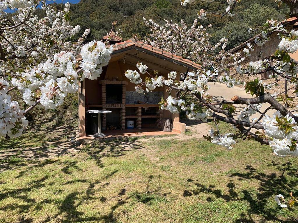 Casa Rural Canchal Madroñeras *** in El Torno, Provincia de Cáceres