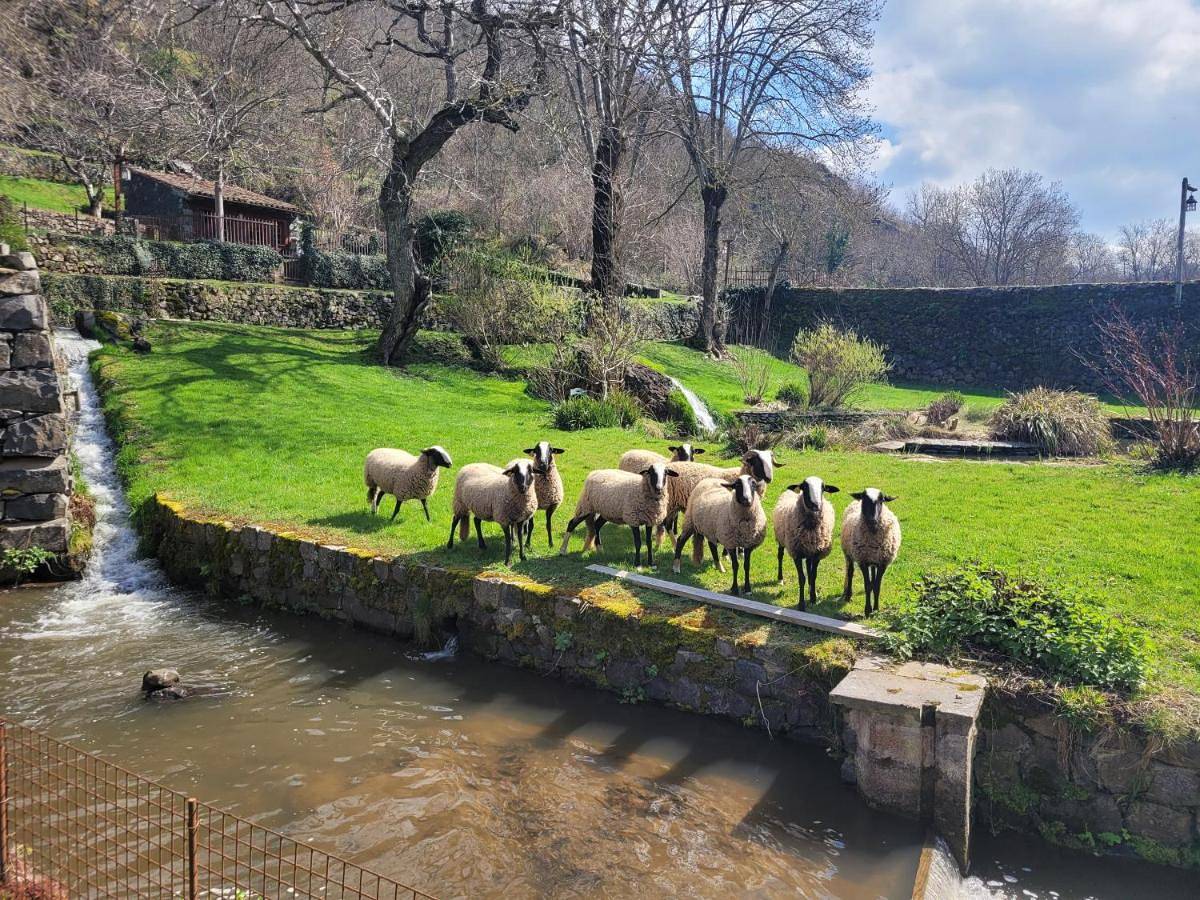 Le moulin in Saint-Arcons-d'Allier, Haute-Loire