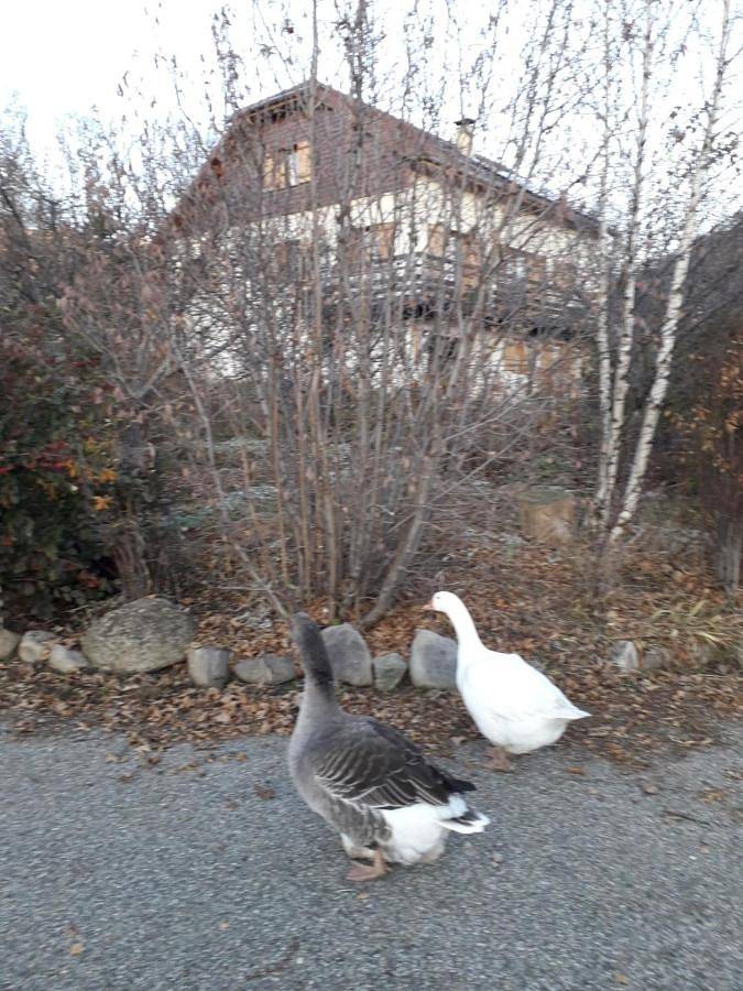 Gîte pour 6 personnes, avec vue et jardin, adapté aux familles à Saint-Julien-en-Champsaur - 3