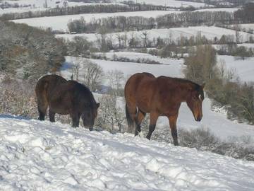 Cottage for 7 People in Montbernard, Haute-Garonne, Photo 2
