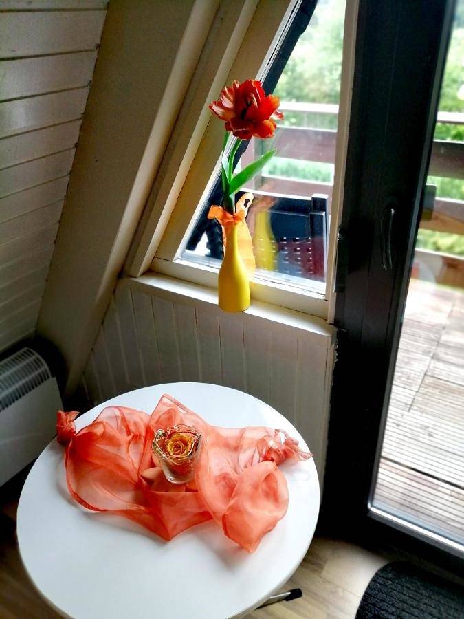 Ferienhaus für 3 Personen, mit Seeblick und Garten sowie Ausblick in Driedorf - 4