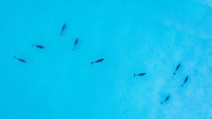 Holiday Home for 12 People in Hyams Beach, Jervis Bay, Photo 2