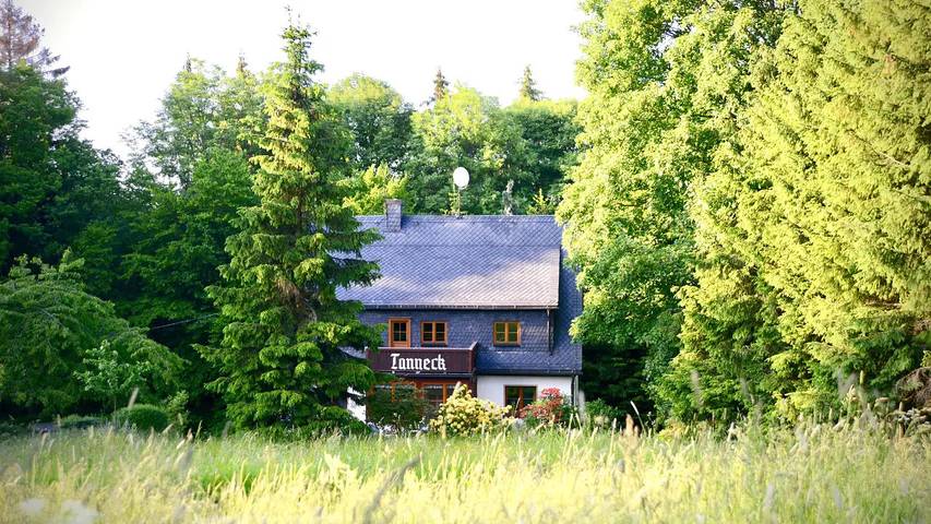Ferienhaus für 15 Personen, mit Garten, mit Haustier in Altenberg - 3