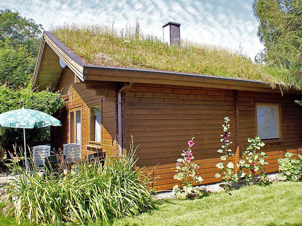 Petra Wilms - Ferienhaus Hof Dammhahl in Gelting, Schleswig-Flensburg