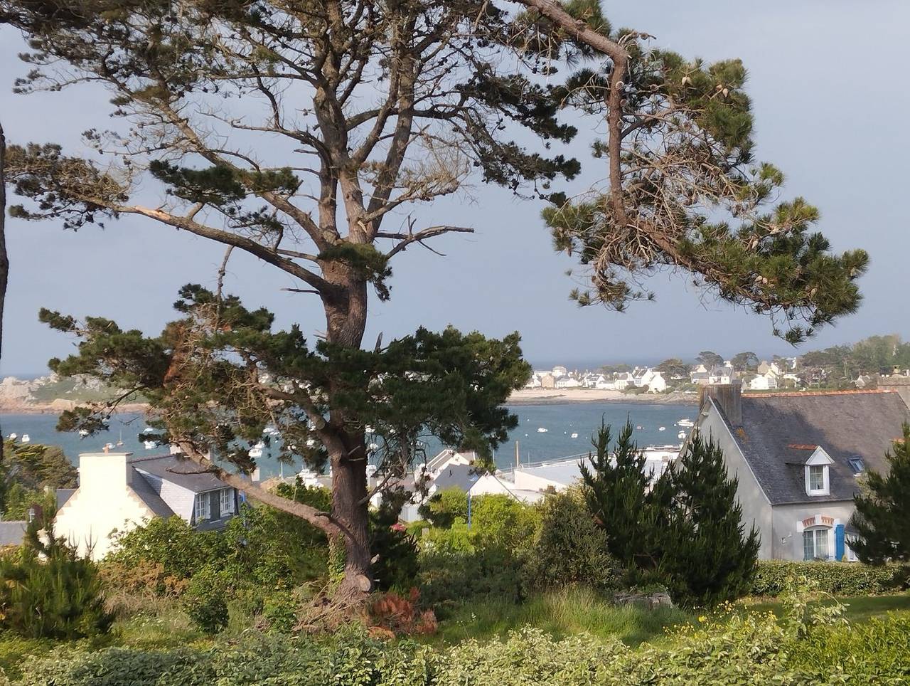 A l'ouest in Le Diben, Plougasnou