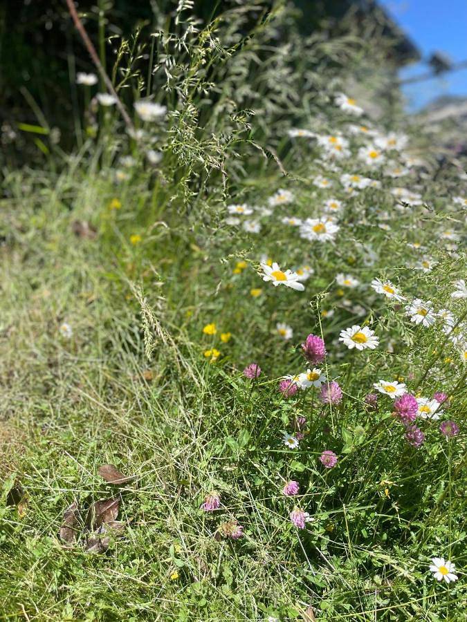 Gîte pour 6 personnes, avec terrasse et vue dans Station du Mourtis - 4