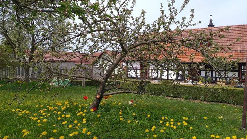 Hotel, mit Garten in Bad Berka