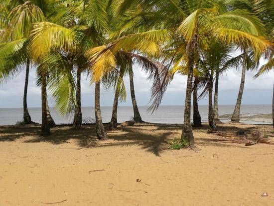 Gîte pour 4 personnes, avec terrasse, animaux acceptés dans Plage de Montabo - 2