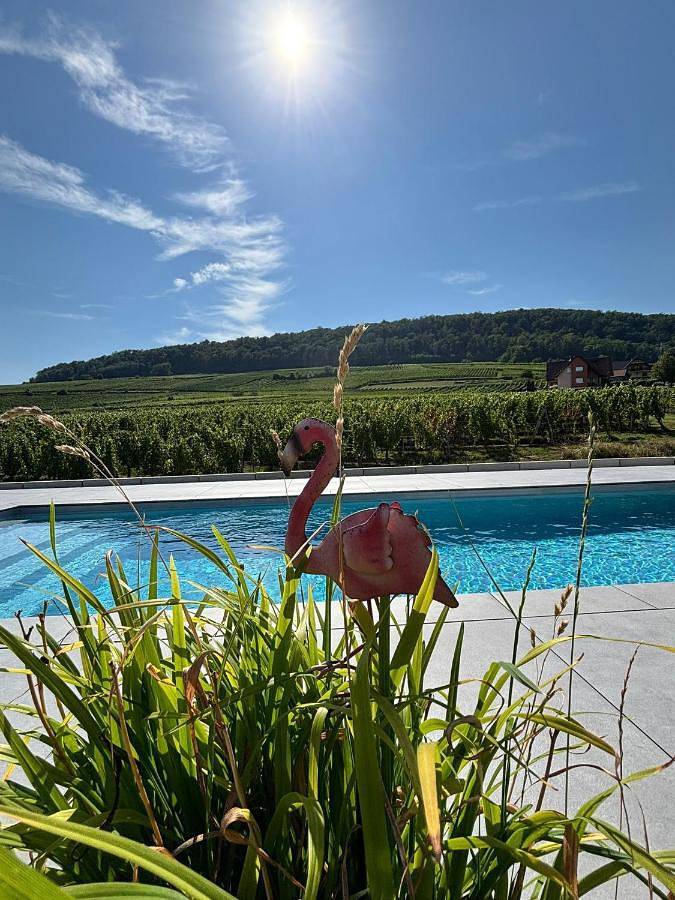 Appartement de vacances pour 3 personnes, avec Terrasse et Jardin ainsi que Piscine et Vue