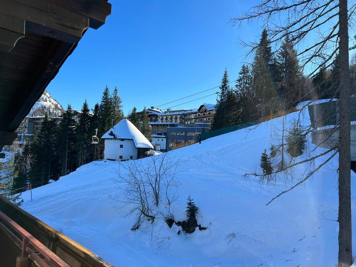 Ganze Wohnung, Haus Alpina in Sonnenalpe Naßfeld, Hermagor-Pressegger See