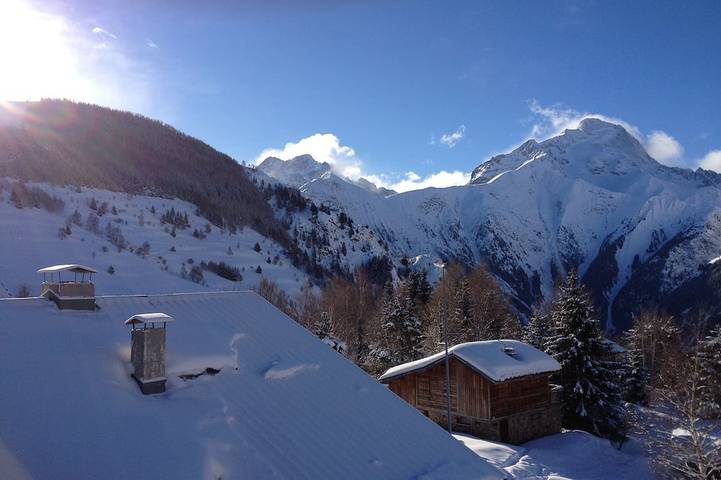 Ganze Wohnung, Studio auf der Piste, die Berge, für 5 Personen, ruhige Residenz in Vénosc, Les Deux Alpes