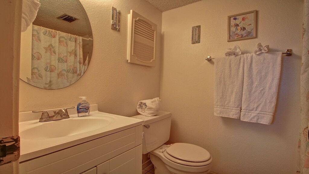 Ganze Wohnung, Von der Spitze der Palmen in South Padre Island, Laguna Madre