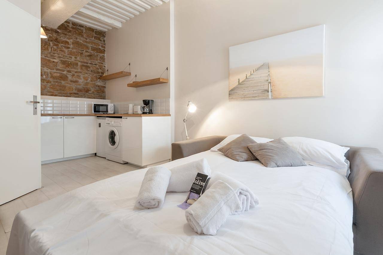 Entire studio, Guestready - Charming Studio for 2 near the Metro in Lyon, Rhône