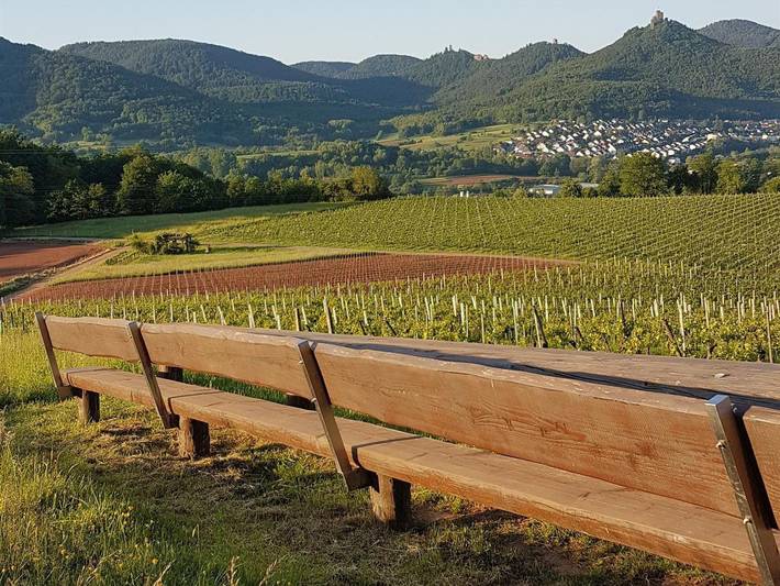 Ferienwohnung für 3 Personen, mit Terrasse, kinderfreundlich in Annweiler - 4