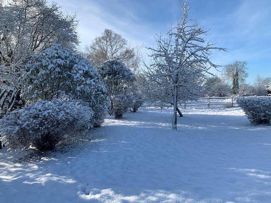 Le Pressoir de Bigard - chaumière normande - 8 personnes in Campigny, Région de Bernay