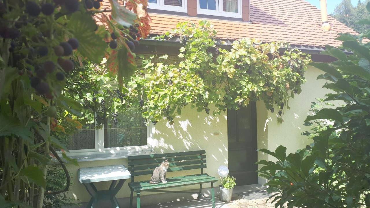 Ferienhaus Puttrich in Hohnstein, Elbsandsteingebirge