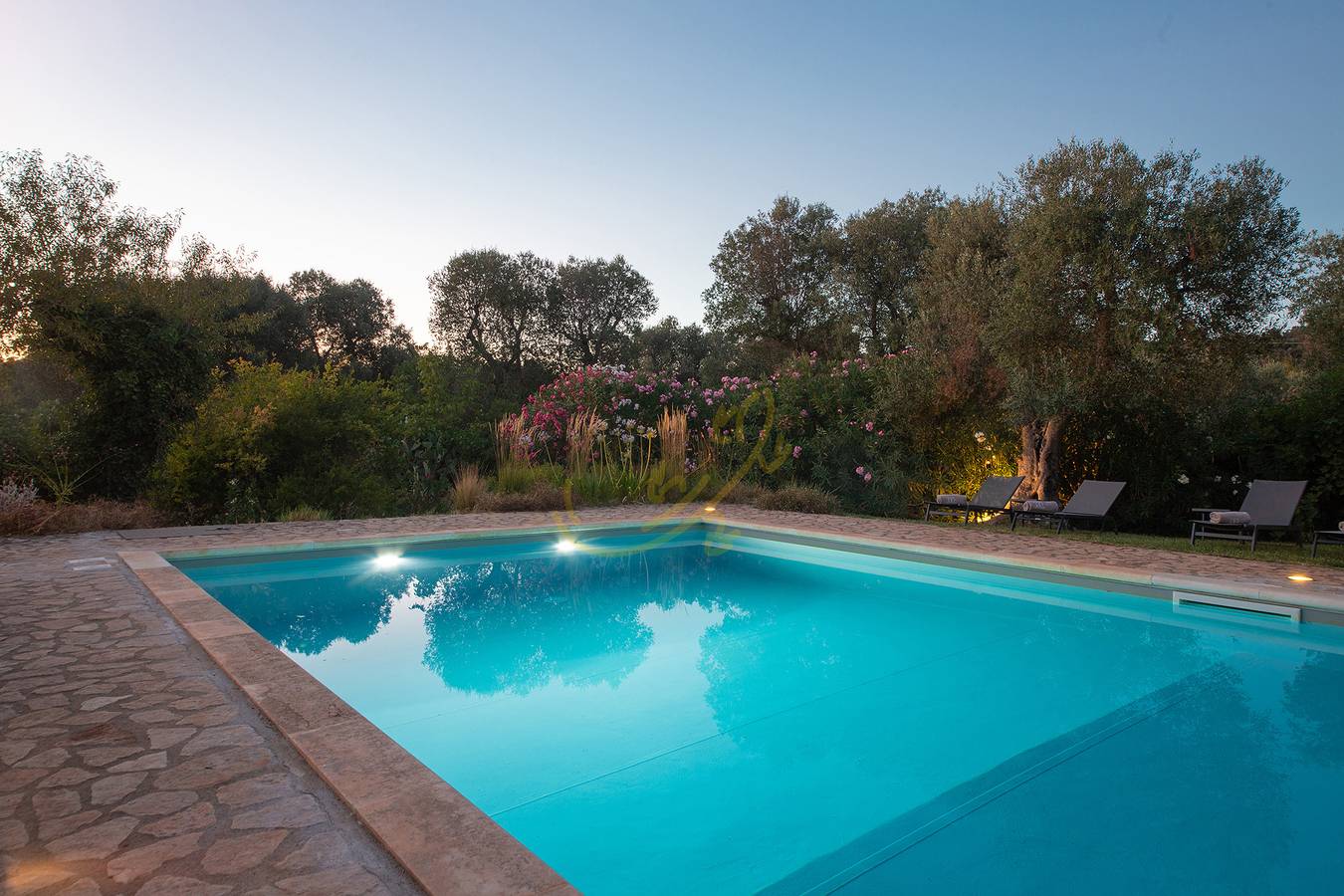 Td Trulli Fico d'India w/ Pool Immersed in Nature in Ceglie Messapica, Salento