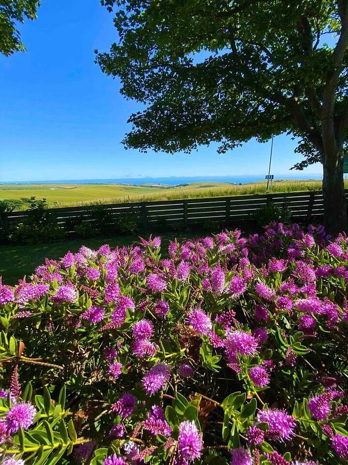 Ferienhaus für 4 Personen, mit Terrasse und Meerblick sowie Garten in Brighton - 2