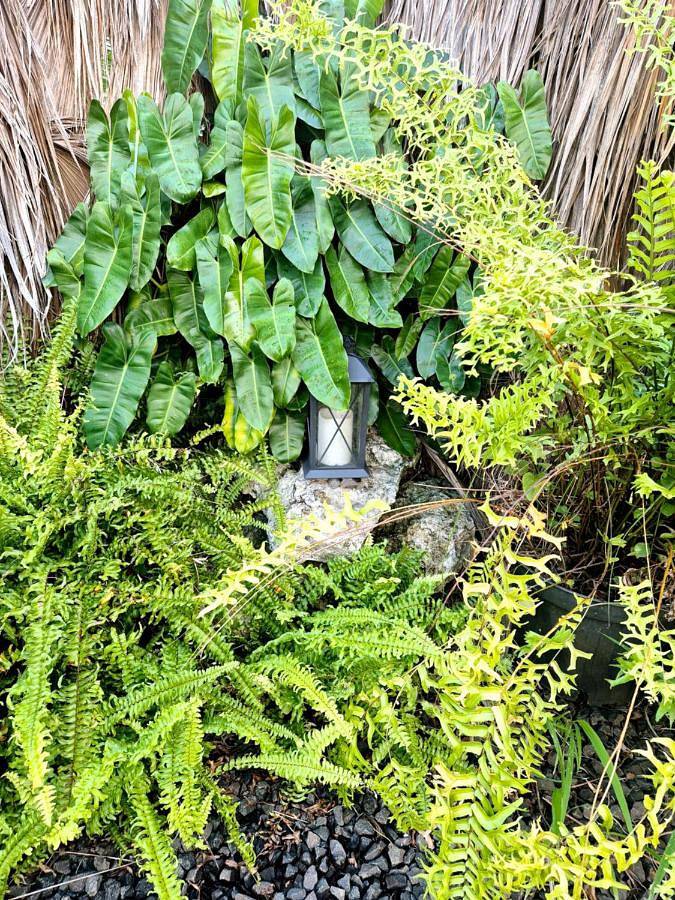 Gîte pour 6 personnes, avec terrasse et jacuzzi à Saint-Esprit (homonymie) - 2