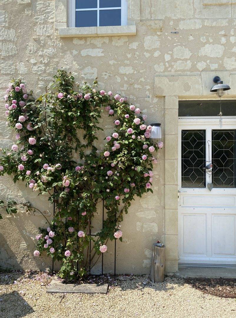 Chambres d'hôtes "La Fée Verte" - Chambre fleurs in Le Puy-Notre-Dame, Vallée de la Loire