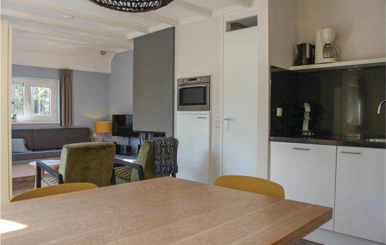 Ferienhaus für 6 Personen, mit Garten und Terrasse sowie Sauna, mit Haustier in Ommen - 4