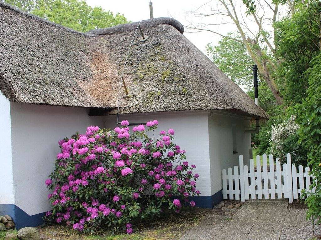 Föhrer Friesenkate West in Goting, Föhr