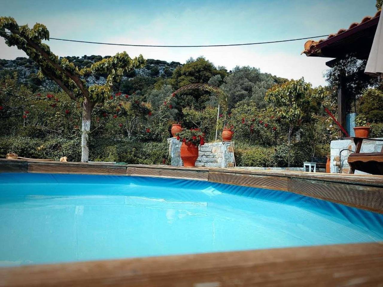 Ferienhaus "Rosenhecke" in Iraklio-Heraklion und Umgebung