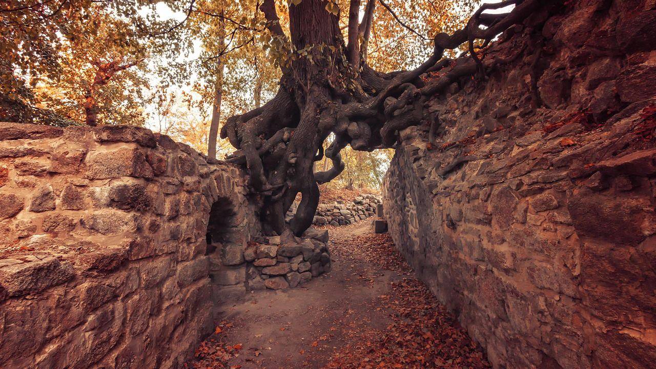 Apartamento vacacional entero, Ferienwohnung für 4 Personen (60 m²) in Stecklenberg in Stecklenberg, Thale