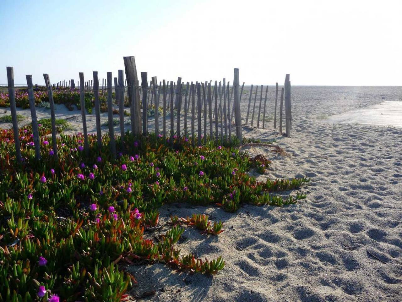 Les Maisons de la Plage 3 in Port Leucate, Leucate
