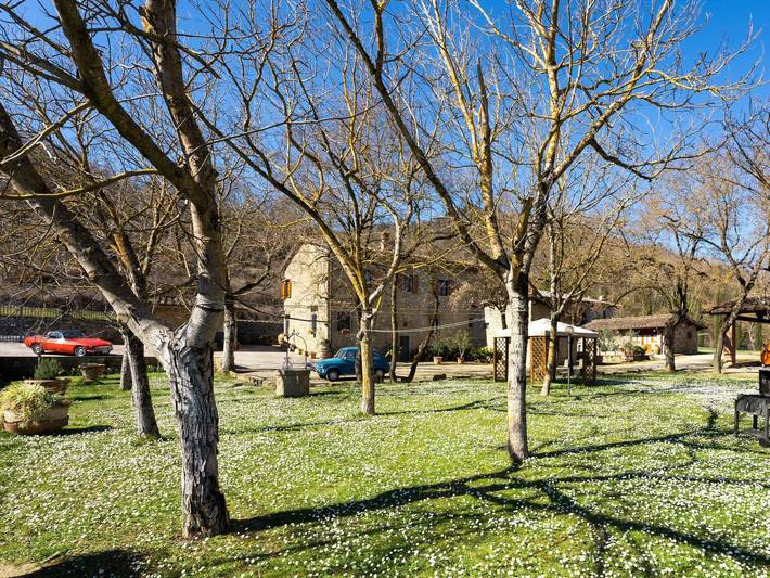 Gîte pour 3 personnes, avec vue ainsi que terrasse et jardin à Greve In Chianti - 3