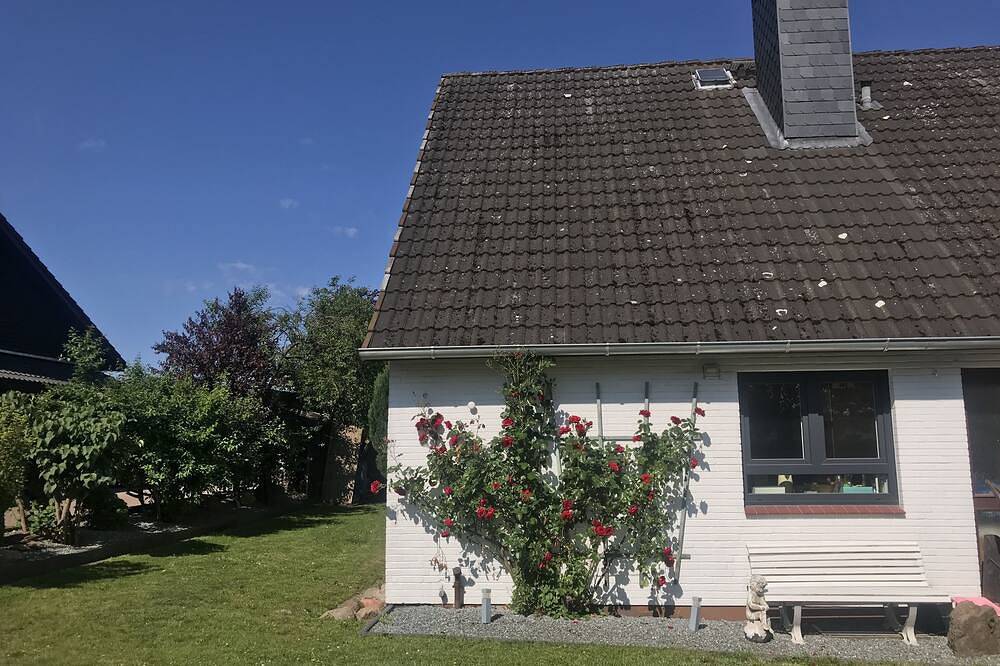 Ganze Wohnung, Appartement Fernsicht / Wangels / Bungsberg / Ruhe / Wandern / Hohwachter Bucht in Wangels, Ostholstein