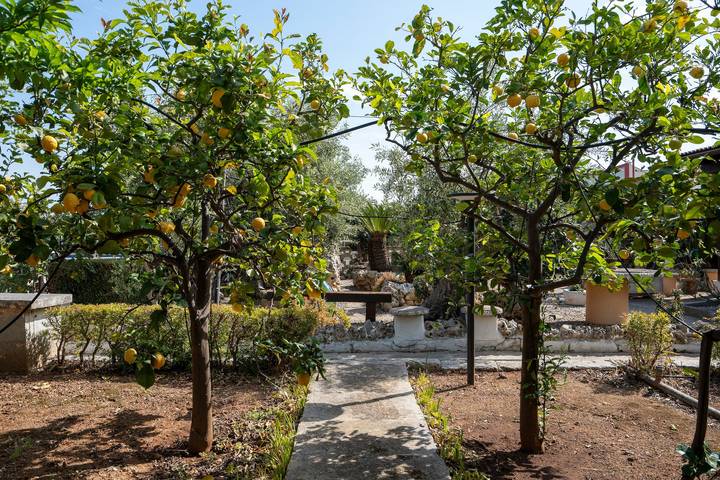 Location de vacances pour 6 personnes, avec Jardin à Monopoli - 4