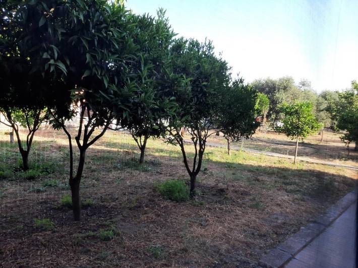 Maison d’hôte pour 2 personnes, avec jardin ainsi que vue et terrasse à Sassari - 4