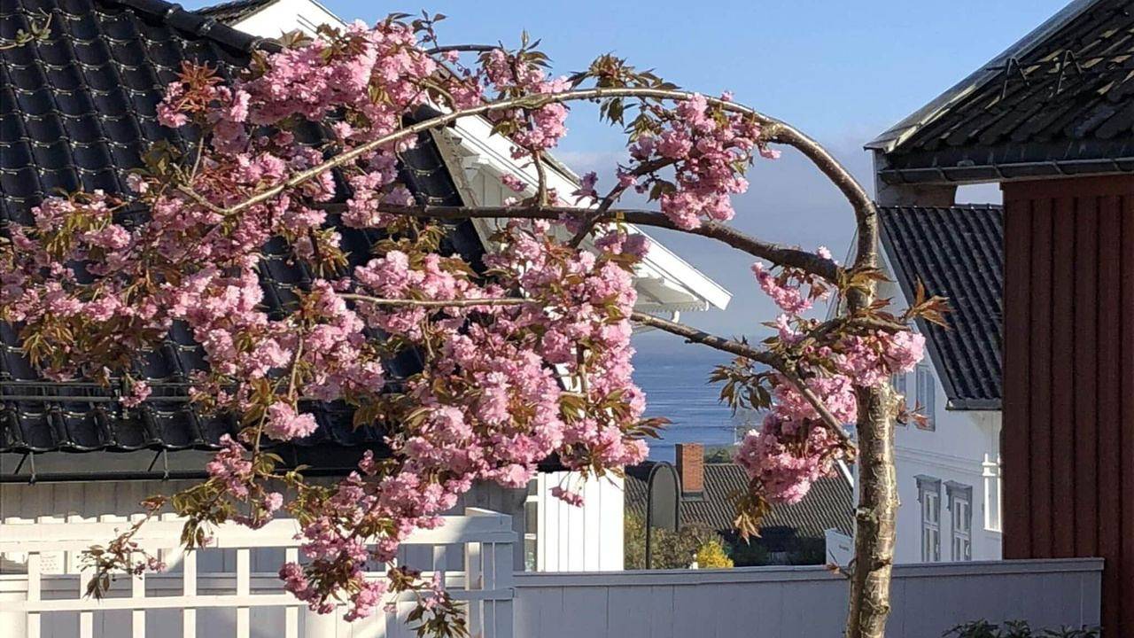 Feriehus for 9 personer in Larvik