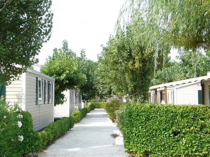 Camping Les Amarines - Camping Paradis - Mobilheim 4 personen - Mh2 Paradis 30 m², mit Sanitäranlagen in Cornillon, Nimes und Umgebung