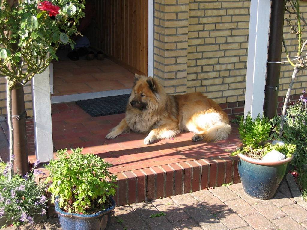 Ferienhaus mit 2 Schlafzimmer in Kronsgaard, Schleswig-Flensburg