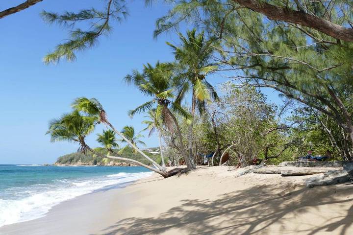 Location de vacances pour 6 personnes, avec vue ainsi que piscine et jardin dans Anse l'Etang - 2
