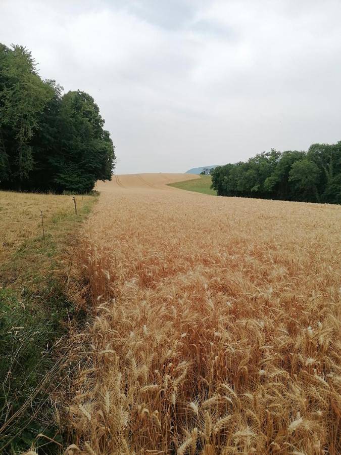 Tente pour 2 personnes, avec vue et jardin, animaux acceptés en Savoie - 4