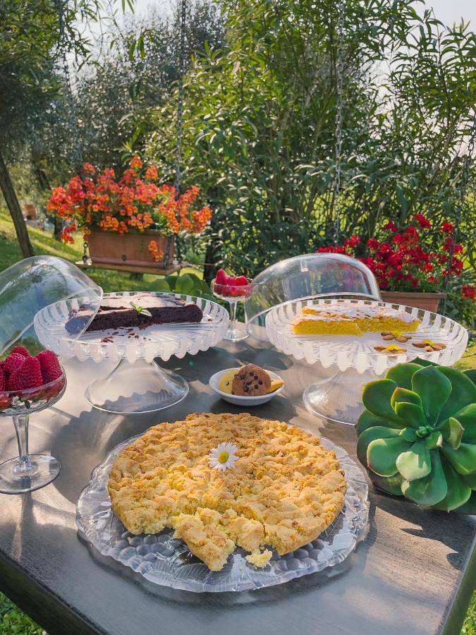 Agriturismo" il glicine bianco" in Monzambano, Provincia di Mantova