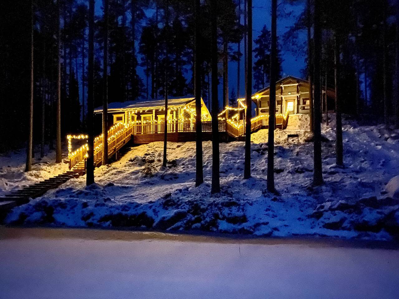 Villa norppa in Savonlinna, Pihlajavesi