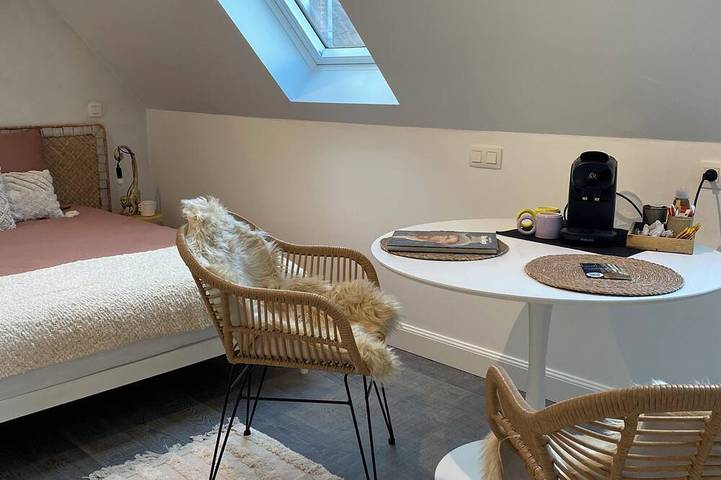 Zentral zwischen Gent & Antwerpen, Gemütliches Dachzimmer in komplett privatem Gebäude in Lokeren, Ostflandern