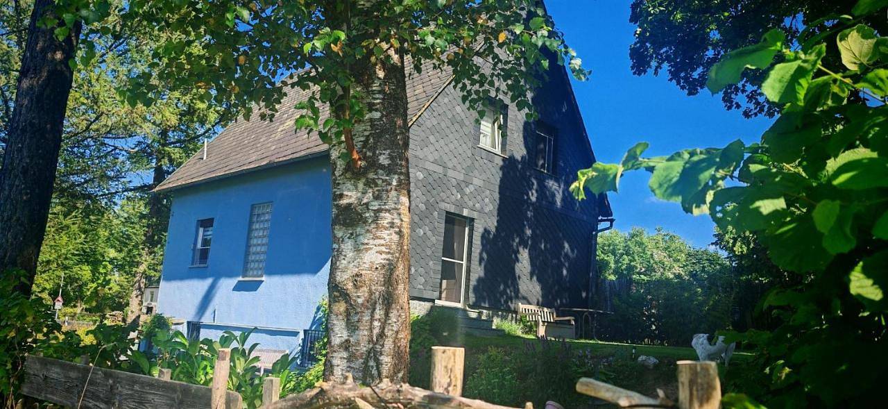 Ferienhaus Villa Zauberblick am Rennsteig Frankenwald Freistehend naturnah Hundefreundlich eingezäunt in Ludwigsstadt, Rennsteig