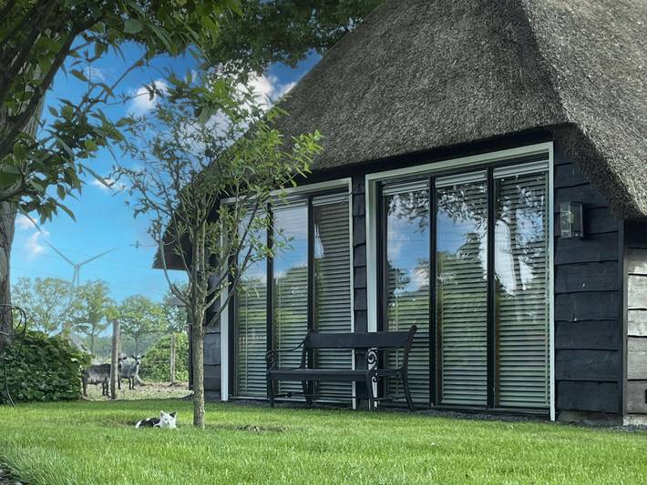 Ferienhaus für 5 Personen, mit Garten und Terrasse in den Niederlande - 2
