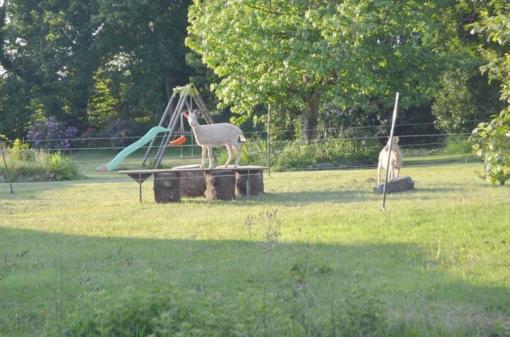 Maison d’hôte pour 3 personnes, avec jardin, animaux acceptés à Cast - 2