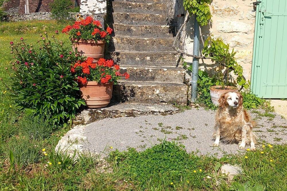 5 minutes from Rocamadour, Padirac, Lacave, Martel, the Dordogne, etc... in Montvalent, Macizo Central