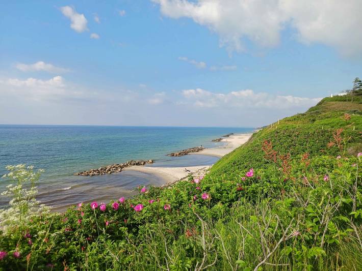 Ferienhaus für 4 Personen, mit Garten und Terrasse an der Kattegat Küste - 3
