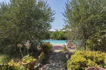 Villa per 12 Persone in Terricciola, Pisa e dintorni, Foto 4