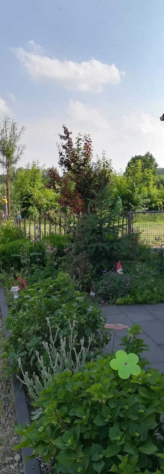 Ganze Ferienwohnung, Ferienwohnung "Im Grünen" mit Terrasse in Steinfurt, Münsterland