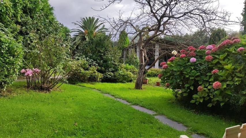 Casa rural para 2 personas, con Terraza y Jardín en Barreiros - 3